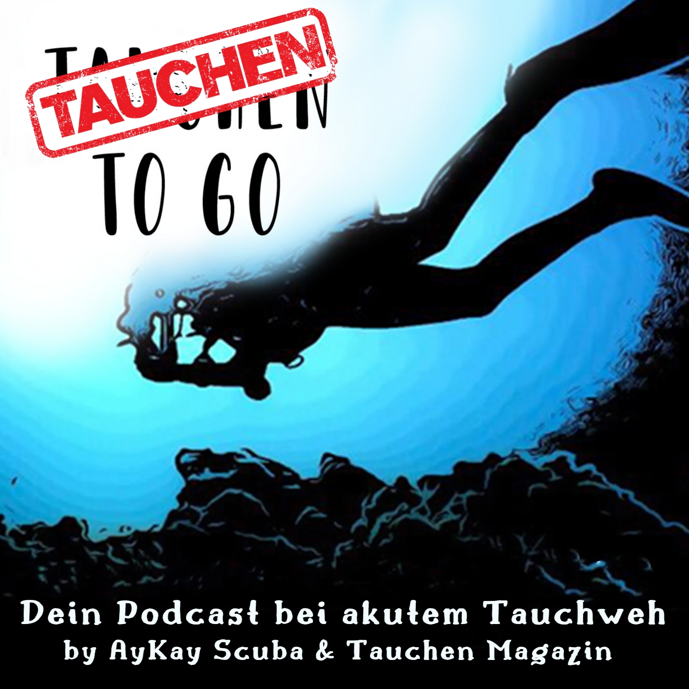 Tauchen 2 go